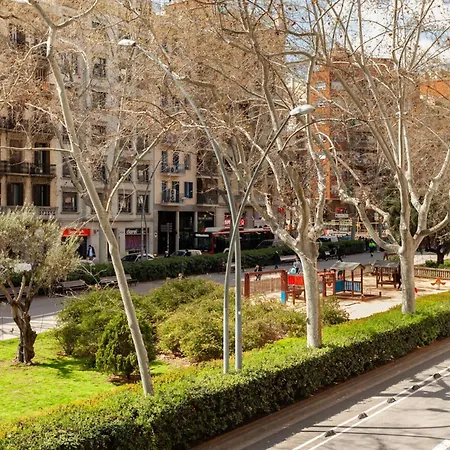 Universitat